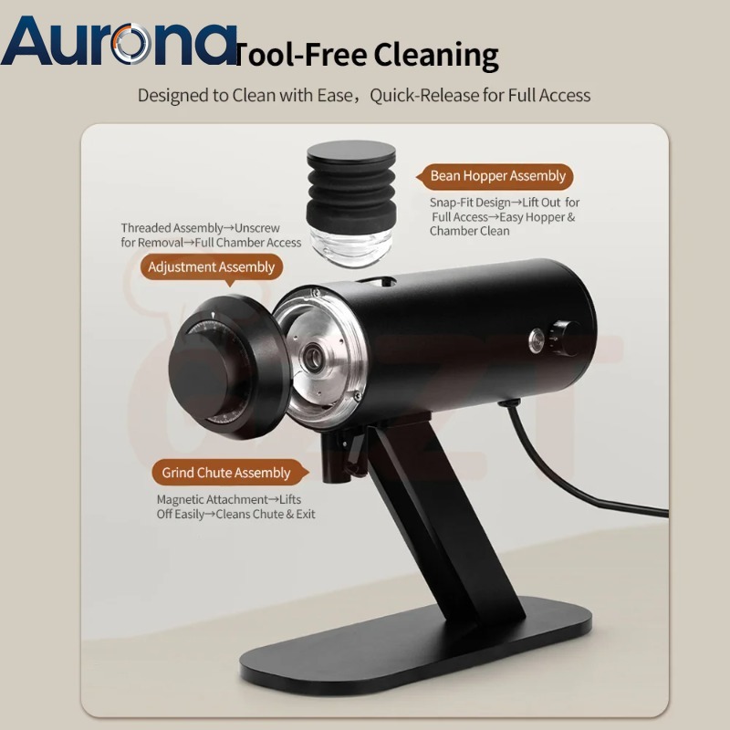 Coffee Grinder Burr - 【Electrodomésticos】 Molinillo de Café FL250 de